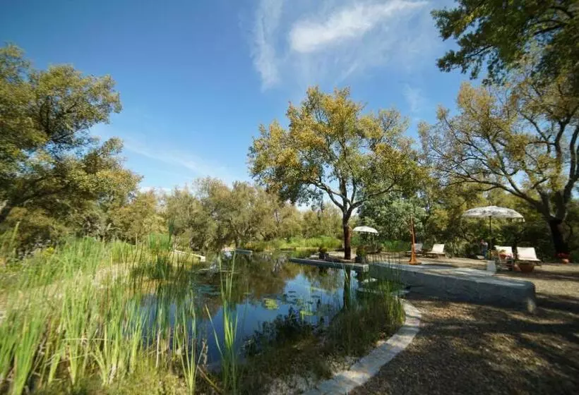 Valle Del Arroyo Casas Rurales  Bed & Breakfast