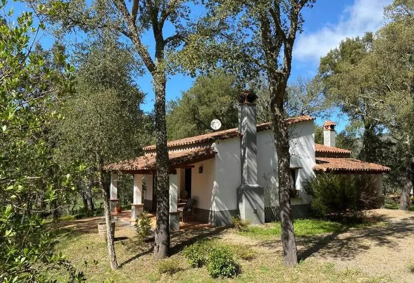 Valle Del Arroyo Casas Rurales  Bed & Breakfast
