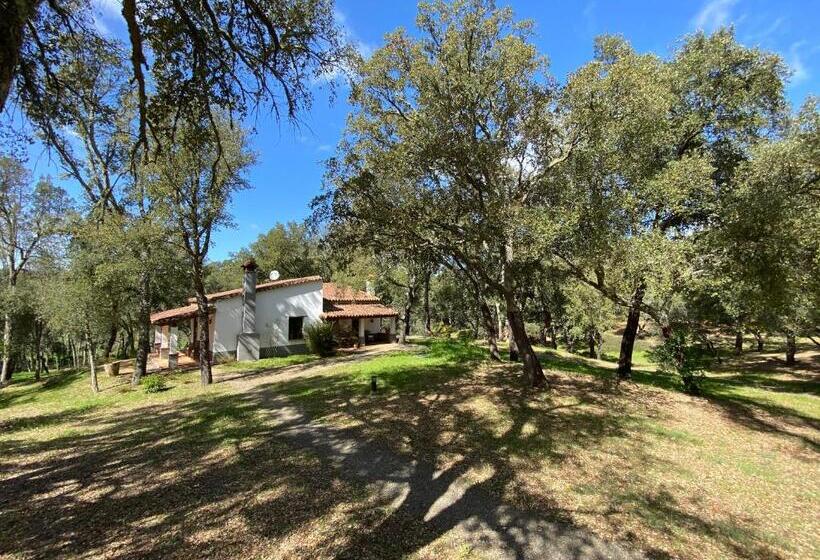Valle Del Arroyo Casas Rurales Bed & Breakfast