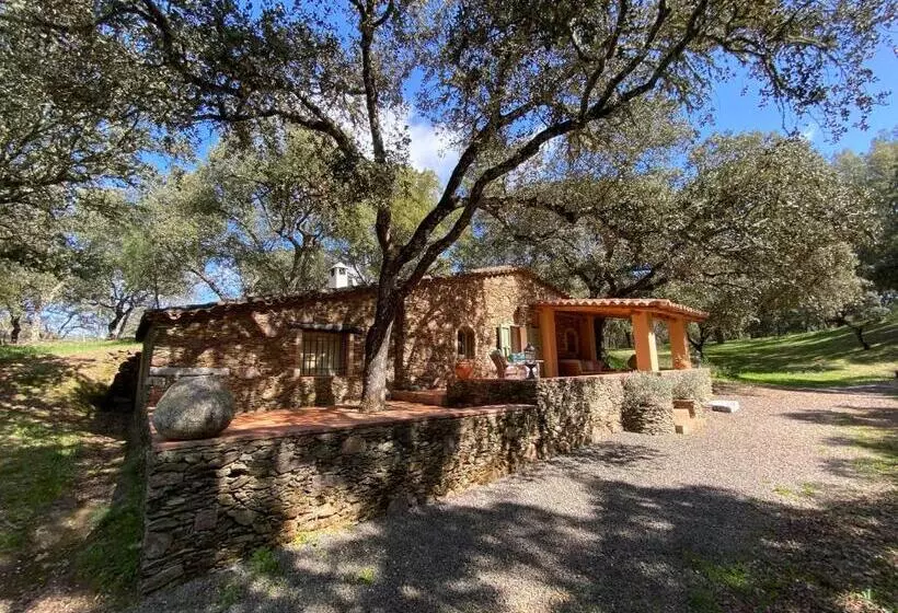 Valle Del Arroyo Casas Rurales  Bed & Breakfast
