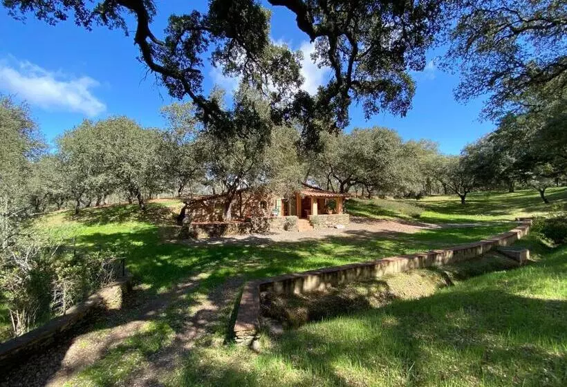 Valle Del Arroyo Casas Rurales  Bed & Breakfast