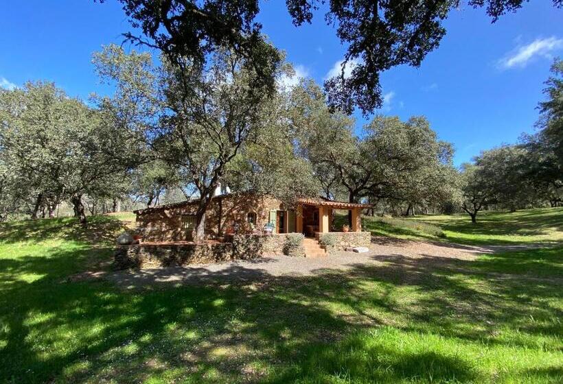 Valle Del Arroyo Casas Rurales Bed & Breakfast