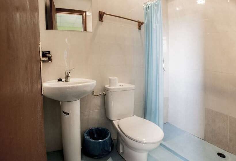 هاستل Roots&boots Lugo