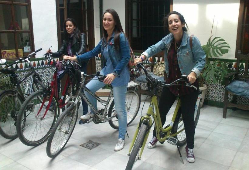 تختخواب و صبحانه Backpacker Al Katre