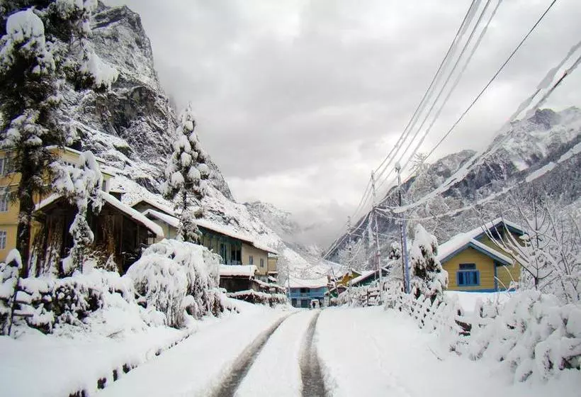 Hotelli Tenzing Retreat, Lachung
