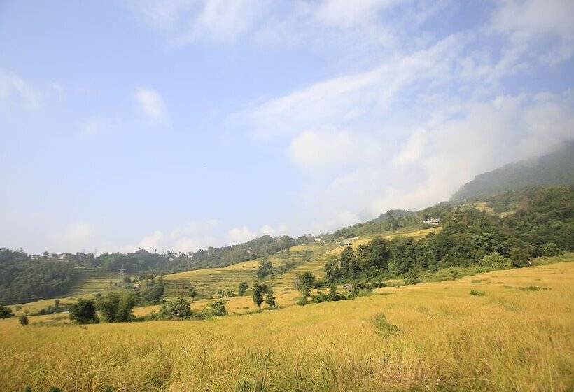 אתר נופש Martam Retreat