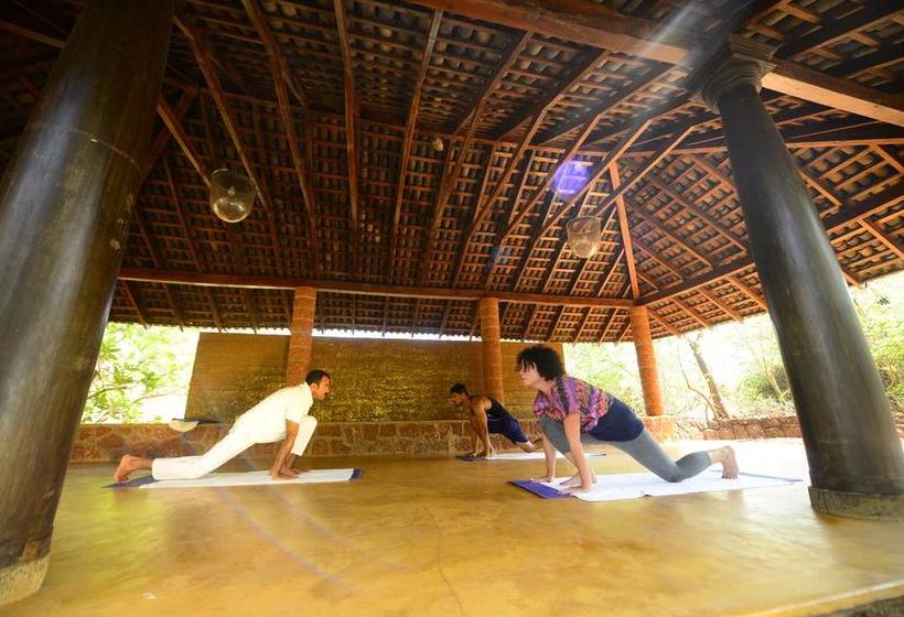 استراحتگاه Nilaya Hermitage