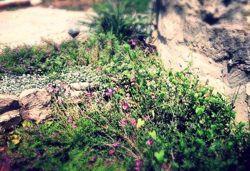 Szálloda Blanco Riverside Cottages