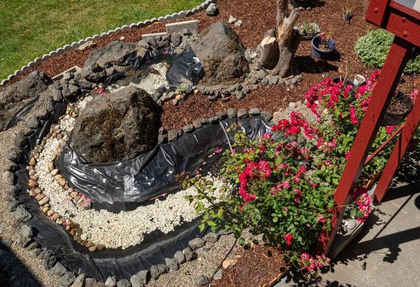 汽车旅馆 Riviera Inn