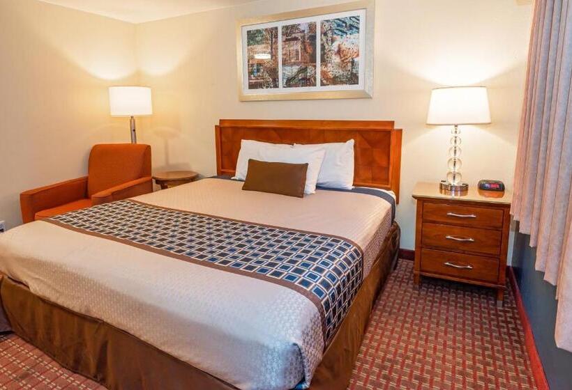 汽车旅馆 Riviera Inn