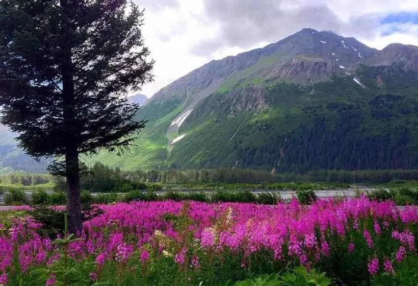 Arctic Paradise B&b