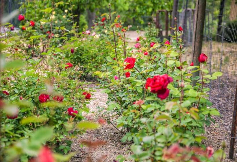 مبيت وإفطار The Eden House Vineyard