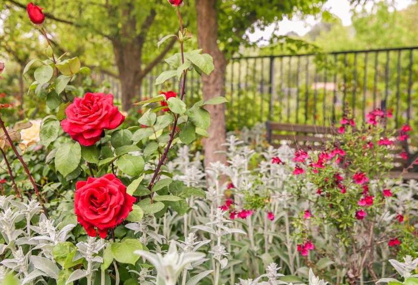 مبيت وإفطار The Eden House Vineyard