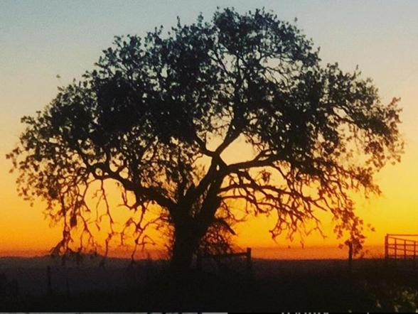 مبيت وإفطار The Eden House Vineyard