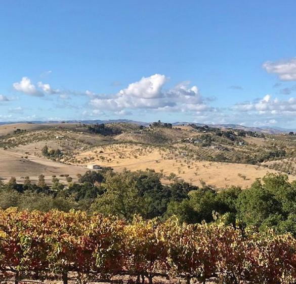 مبيت وإفطار The Eden House Vineyard