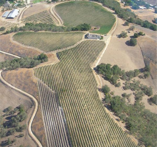 مبيت وإفطار The Eden House Vineyard