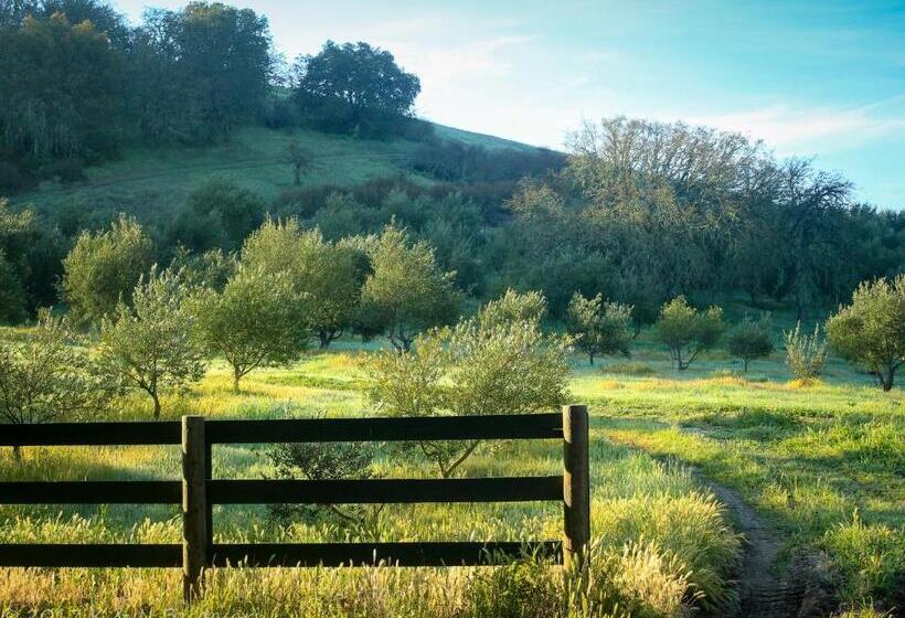 مبيت وإفطار The Eden House Vineyard