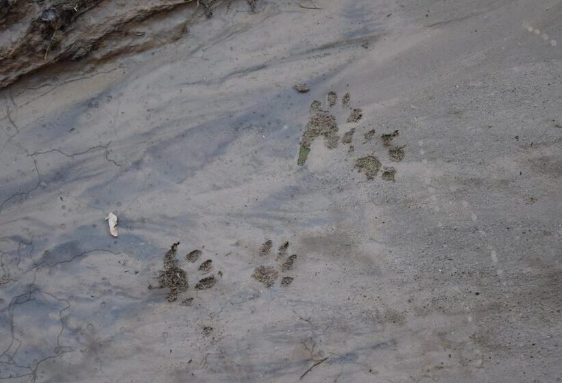 مبيت وإفطار The Inn Of Escalante