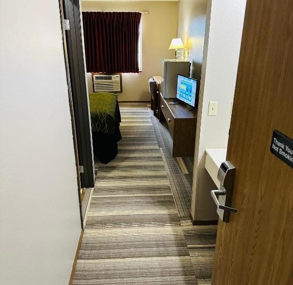 מוטל Arlington Inn