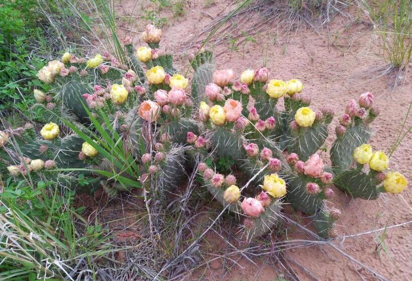 Мотель Bryce Canyon Villas