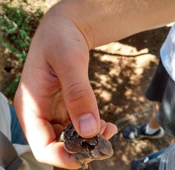 Мотель Bryce Canyon Villas