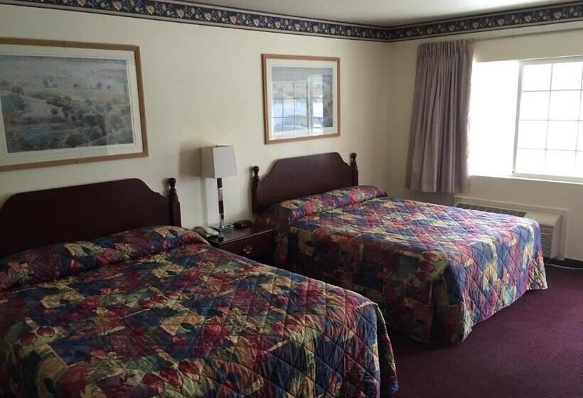 汽车旅馆  Budget Inn Of Lodi