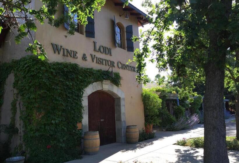 汽车旅馆  Budget Inn Of Lodi