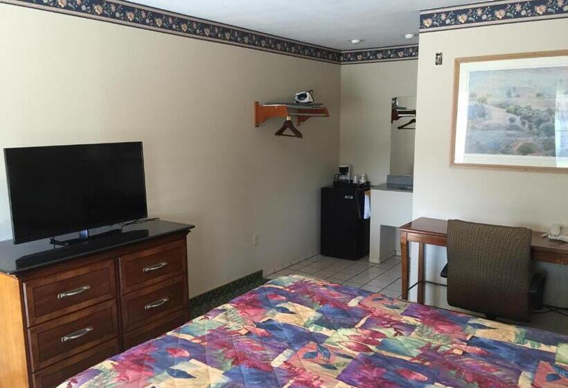 汽车旅馆  Budget Inn Of Lodi