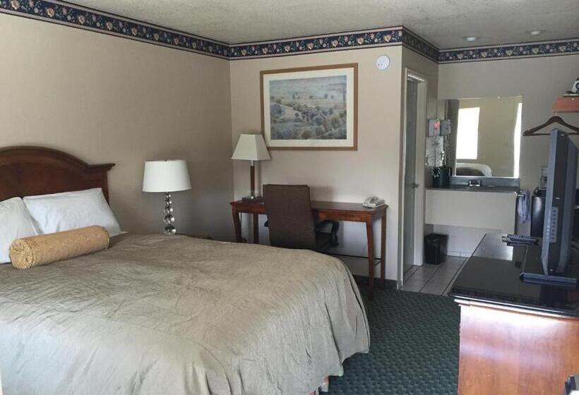 汽车旅馆  Budget Inn Of Lodi