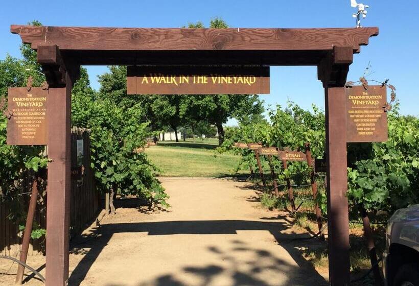 汽车旅馆  Budget Inn Of Lodi