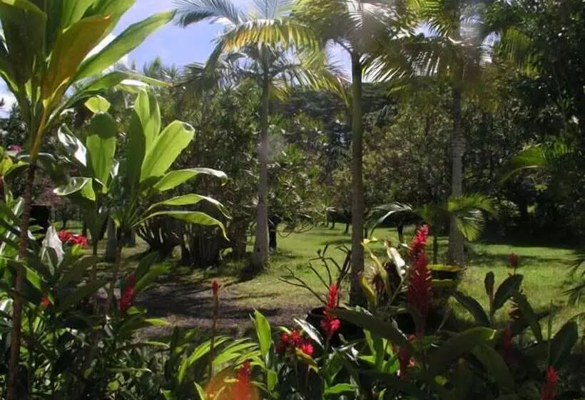 Aamiaismajoitus (B&B) Lava Tree Tropic Inn