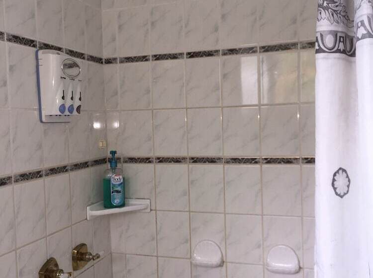 住宿加早餐  Lava Tree Tropic Inn