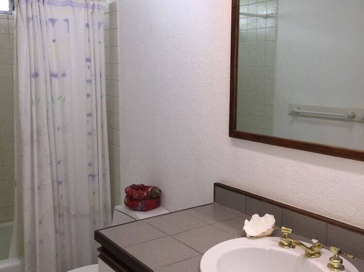 住宿加早餐  Lava Tree Tropic Inn