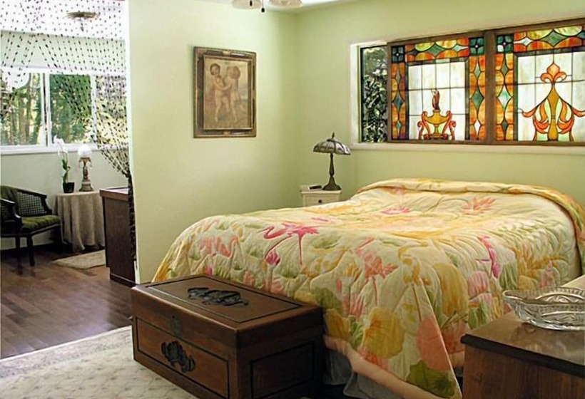 住宿加早餐  Lava Tree Tropic Inn