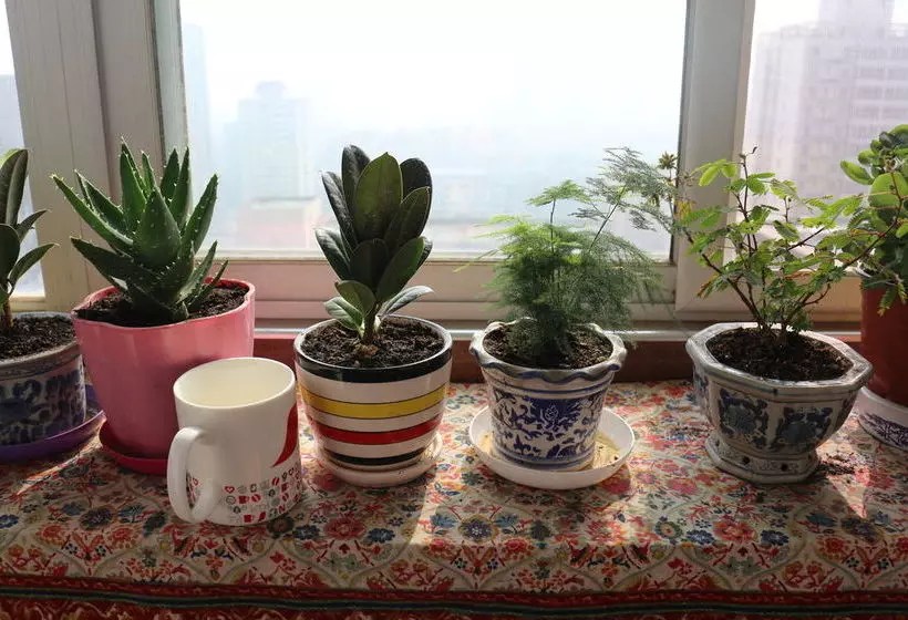 Gesa Xiaozhu International Youth Hostel