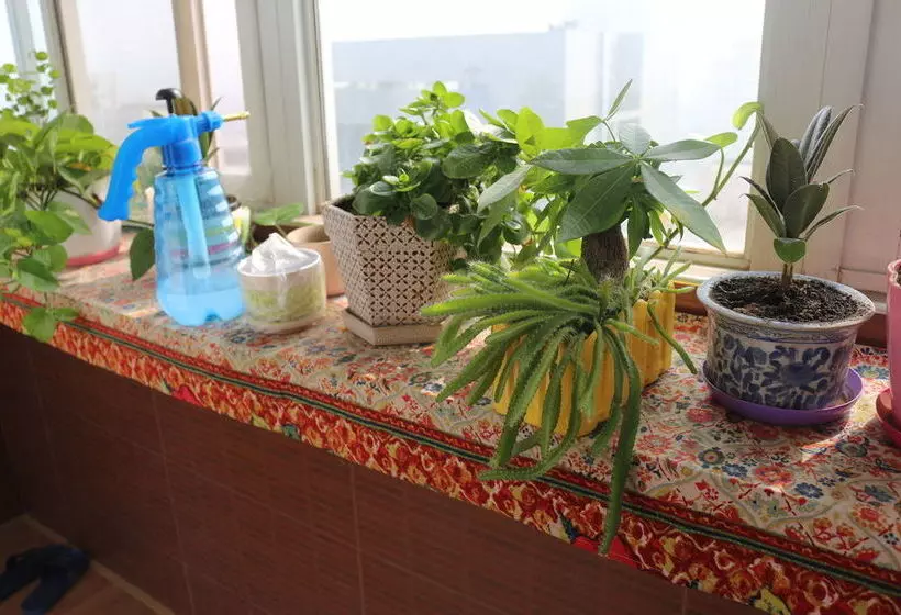 Gesa Xiaozhu International Youth Hostel