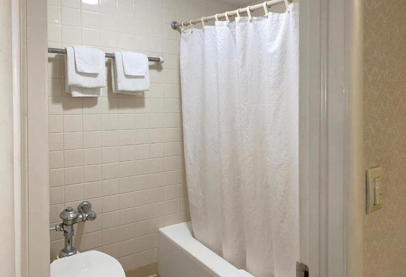 ホテル Deluxe Inn