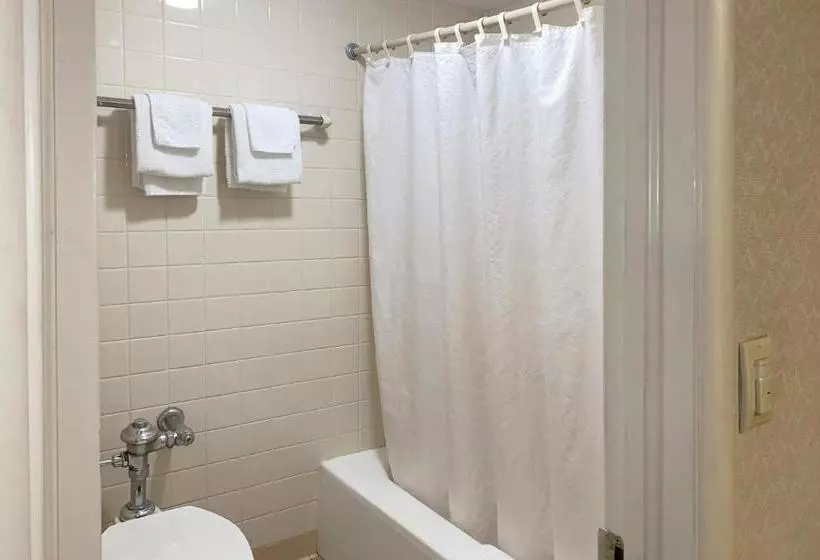 ホテル Deluxe Inn