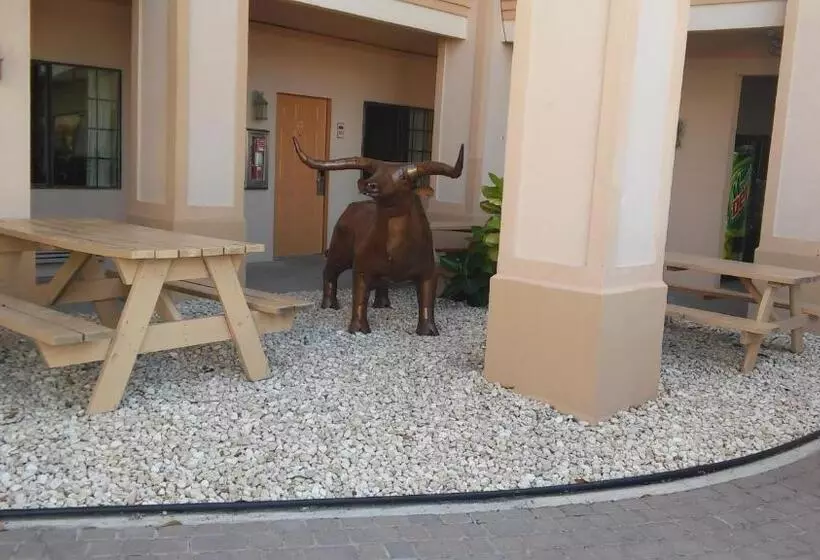 モーテル Casa Rosa Inn