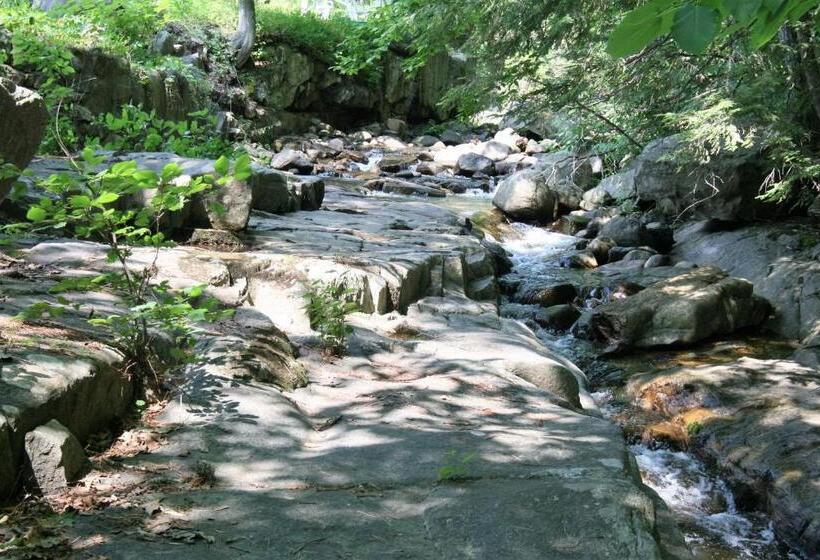 汽车旅馆 Nordick's Inn