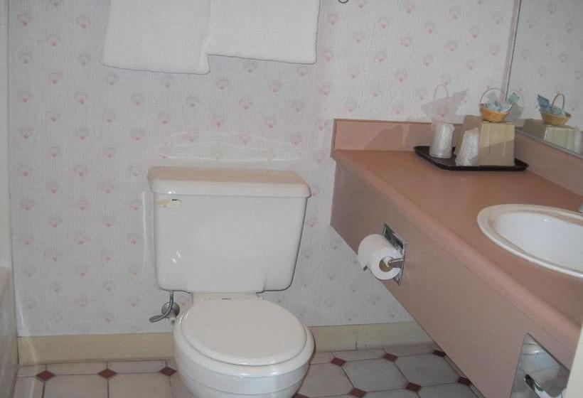 فندق على الطريق Palms Courtyard Inn