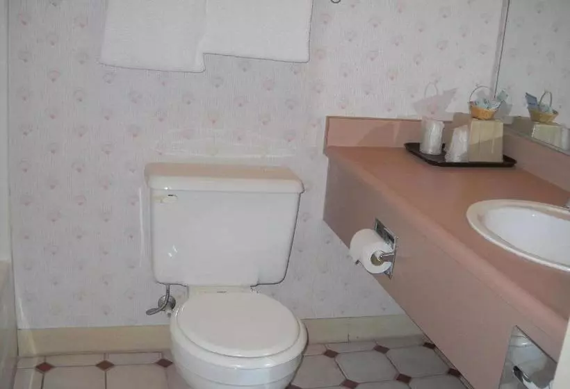 مُتل Palms Courtyard Inn