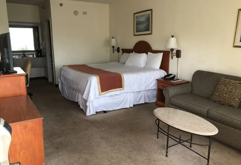 モーテル Travel Inn   Lugoff