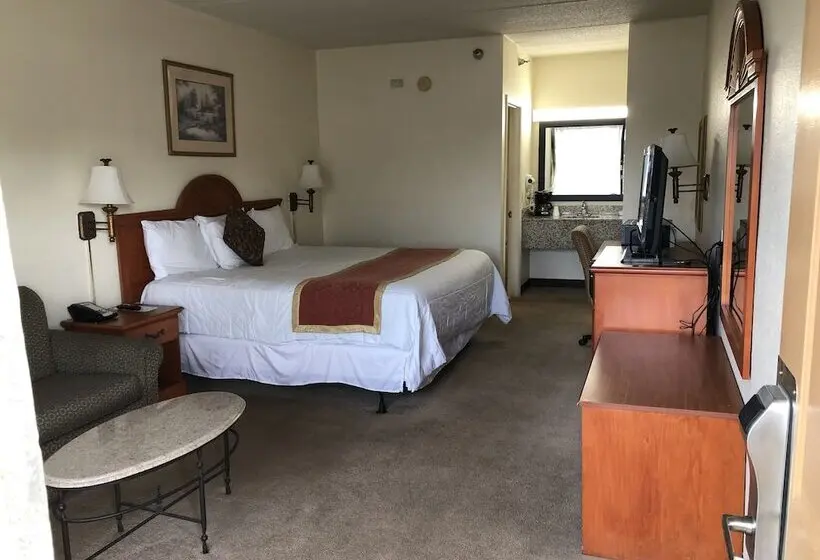 モーテル Travel Inn   Lugoff