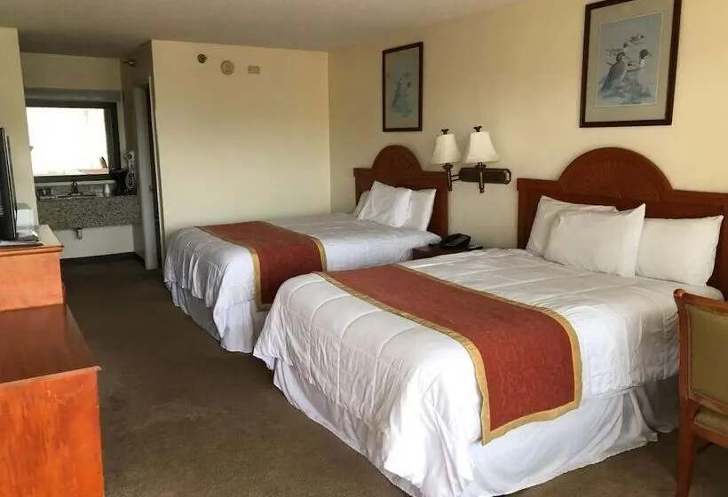 モーテル Travel Inn   Lugoff