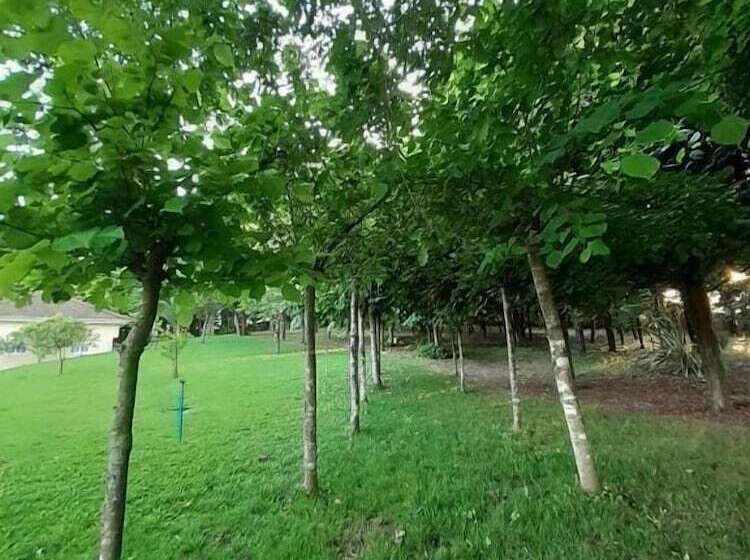 تختخواب و صبحانه Casas Do Souto