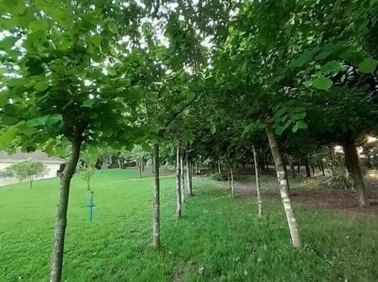 ベッドアンドブレックファースト Casas Do Souto