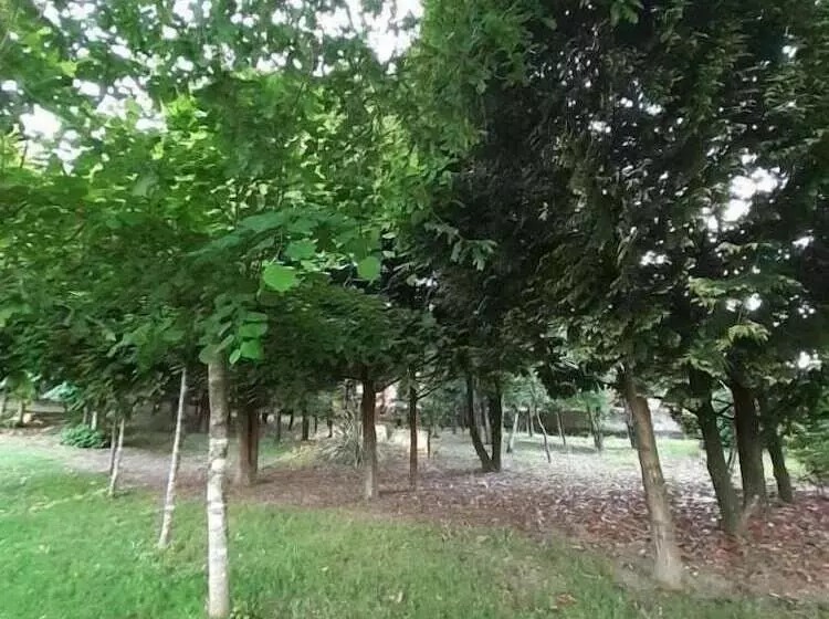 ベッドアンドブレックファースト Casas Do Souto