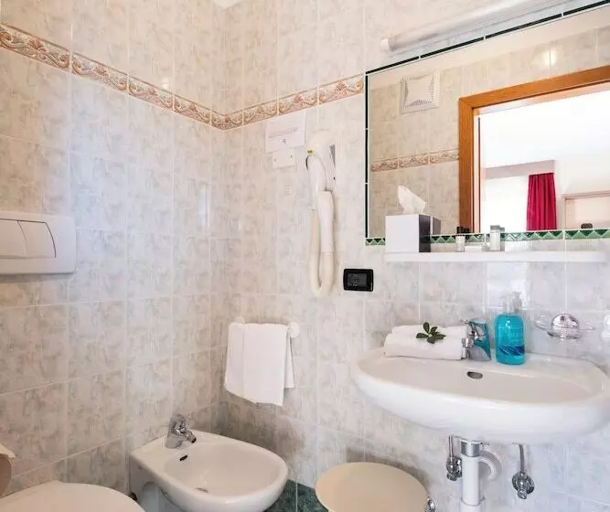 Berg Hotel Latemar Spitze