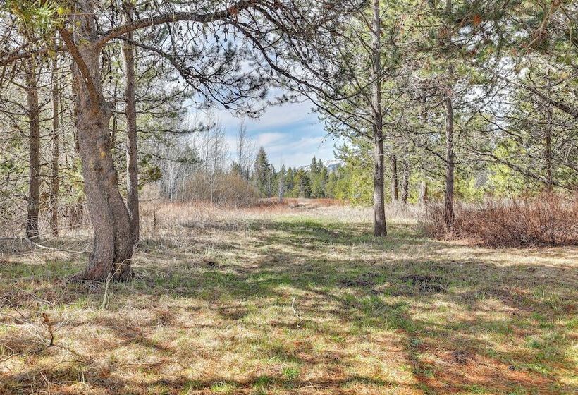 Donnelly Cabin W/ Hot Tub < 1 Mi To Boulder Creek!